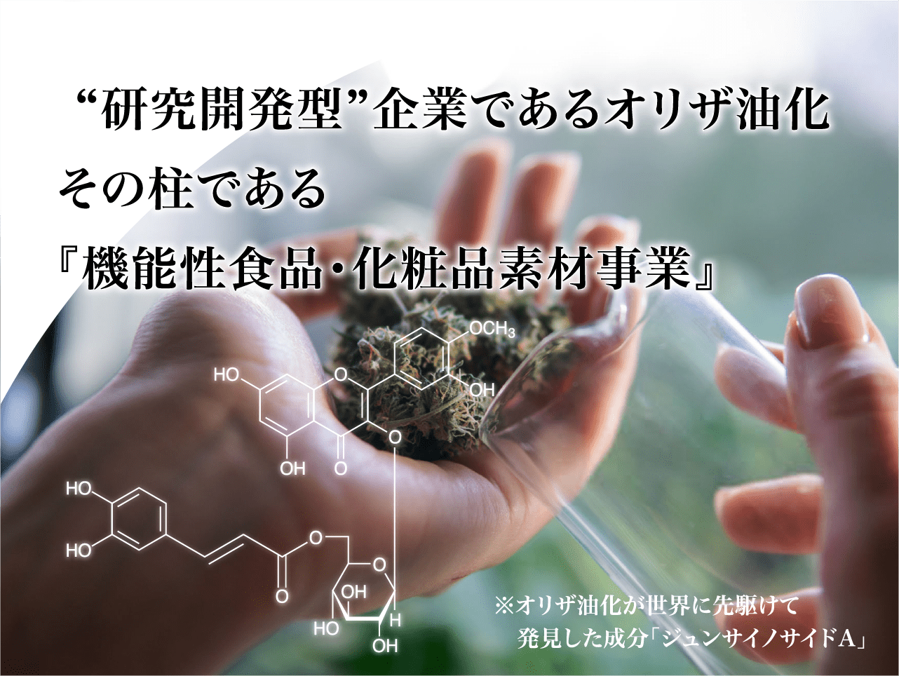 “研究開発型”企業