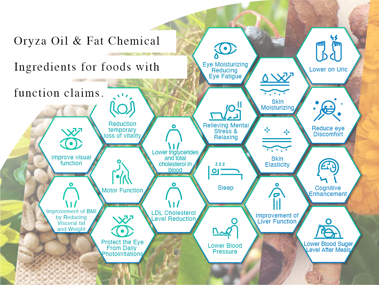 Oryza Oil & Fat Chemical’s Functional Food Ingredients