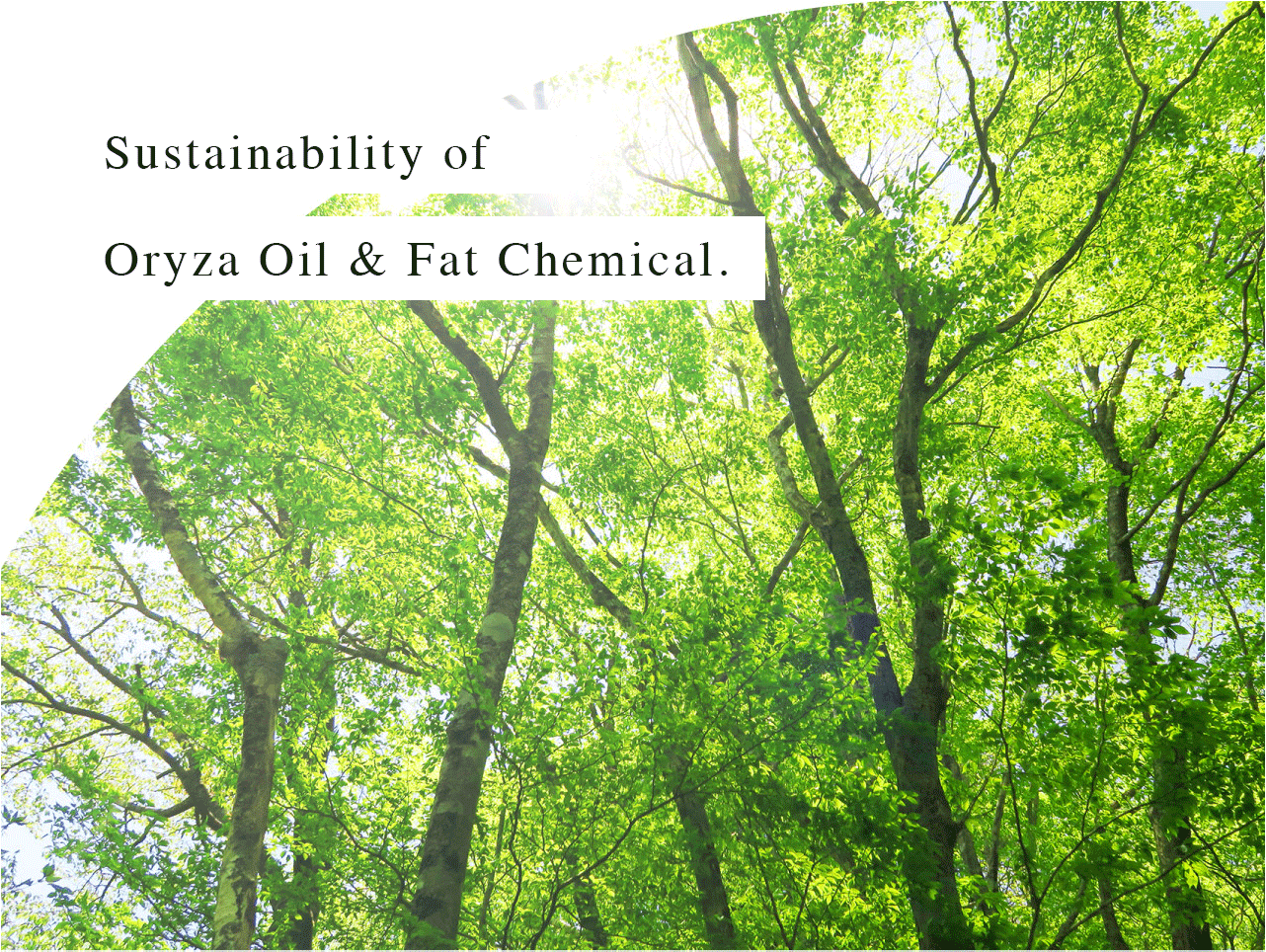 Oryza Oil & Fat Chemical’s Sustainability