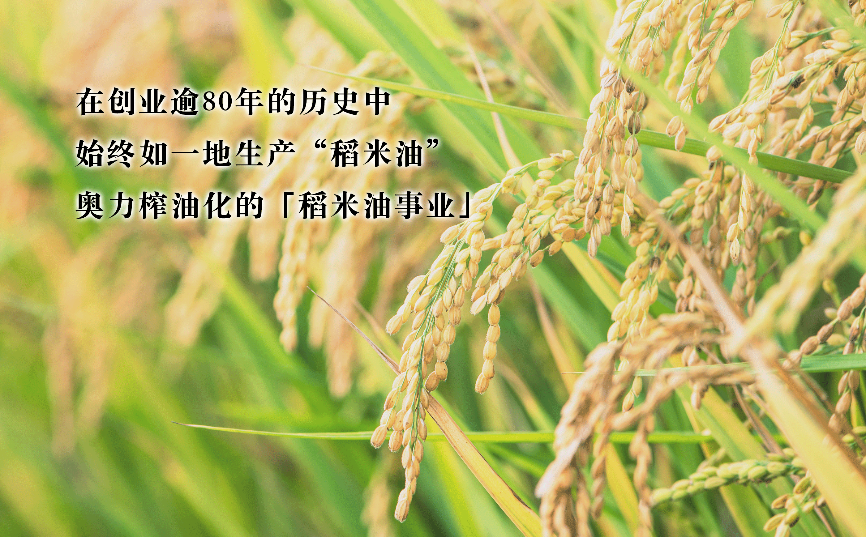 Oryza Oil Chemical’s Rice Bran Oil Business