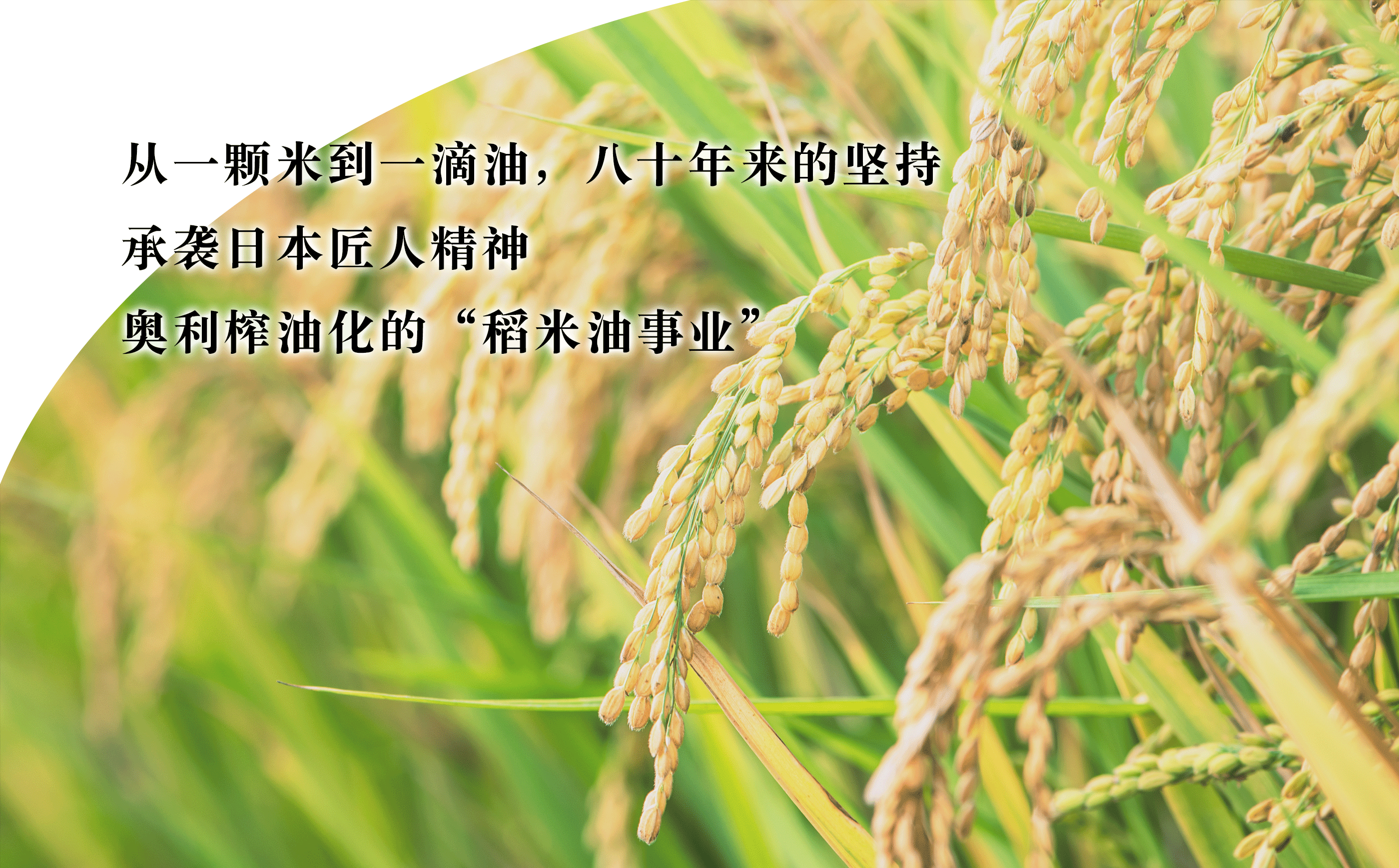 Oryza Oil Chemical’s Rice Bran Oil Business