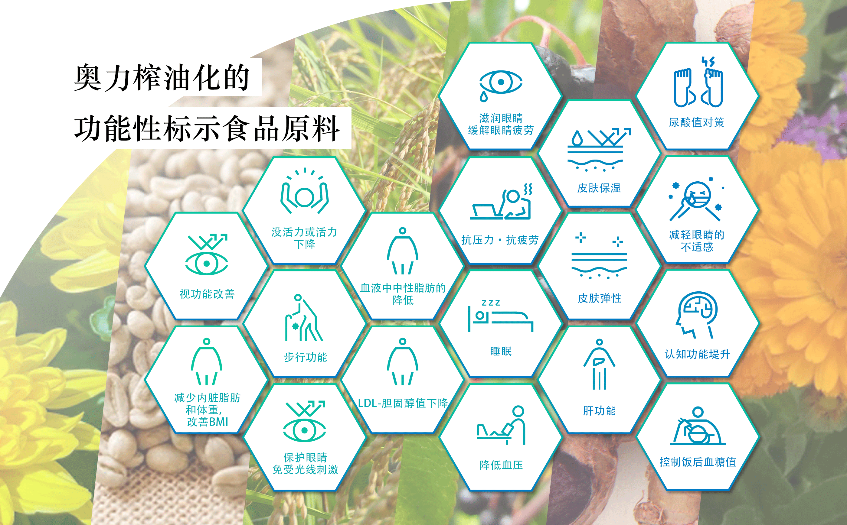 Oryza Oil & Fat Chemical’s Functional Food Ingredients