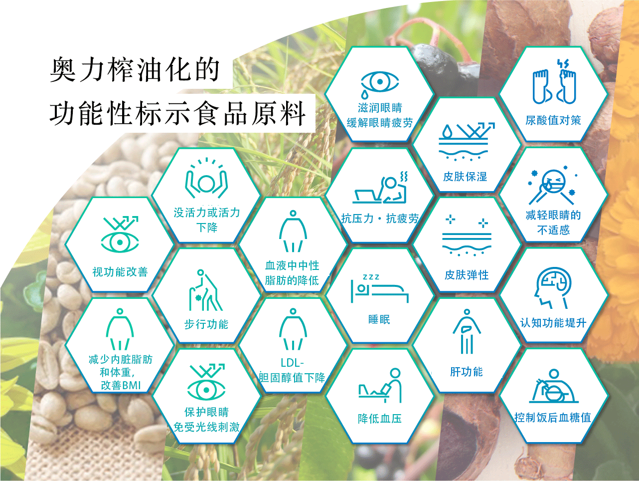 Oryza Oil & Fat Chemical’s Functional Food Ingredients